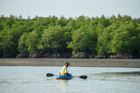 mangrove forest ecosystem. in nature of Thailand