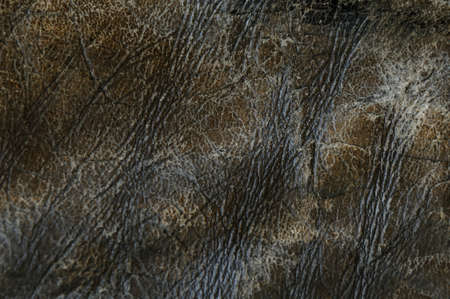 Abstract background from leather with textured effect.の写真素材