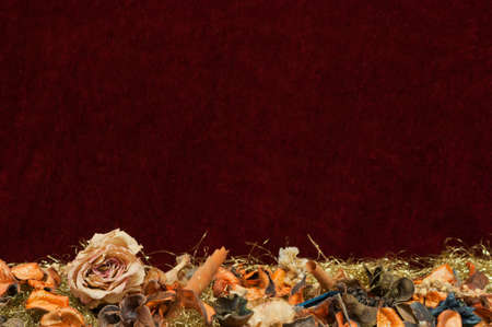 Red velvet background with dried rose petal.