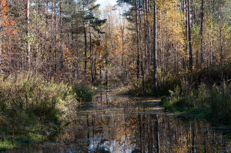River landscape in autumn, Germany, Bavaria, Europe.の写真素材