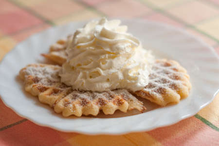 Waffle with powdered sugar and whipped cream on a plate.