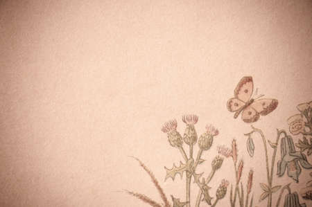 Old brown paper background, with copy space and floral ornament with butterfly.の写真素材