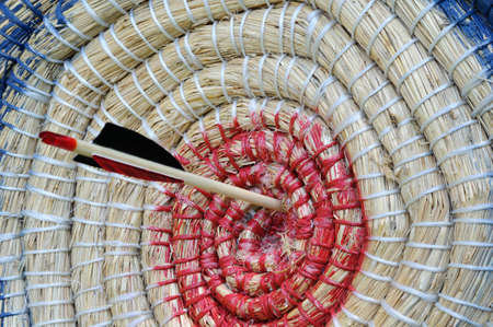 Arrow to hit a target.の写真素材