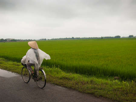 Vietnamese landscape with rice field.の写真素材