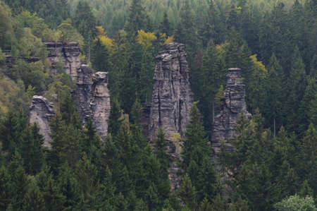View in the Biela vally, Saxon Switzerland.の写真素材