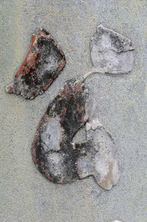 Chinese letter on a facade.の写真素材