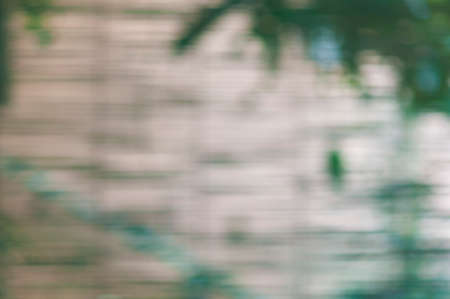 Abstract blurry background made from plants.