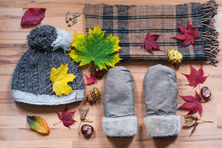 Various clothing for the cold season photographed with foliage, directly above.の写真素材