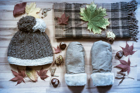 Various clothing for the cold season photographed with foliage, directly above.の写真素材