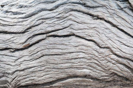 Rustic gray wood background with structural effect.の写真素材