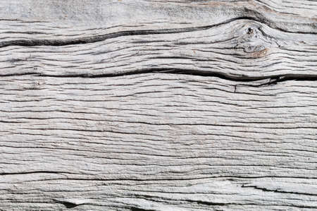 Rustic gray wood background with structural effect.の写真素材