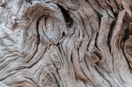 Rustic gray wood background with structural effect.