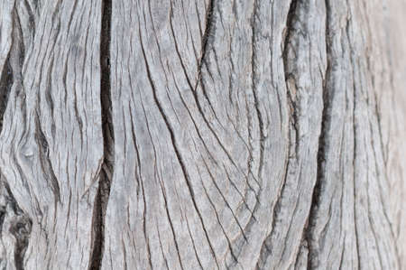 Rustic gray wood background with structural effect.