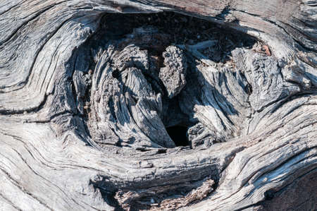 Rustic gray wood background with structural effect.