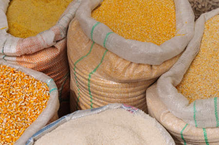 Staple food rice and corn in sacks.の写真素材
