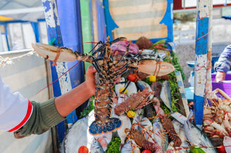 Market stall with fresh fish and seafood, man holds lobster in hand.の写真素材