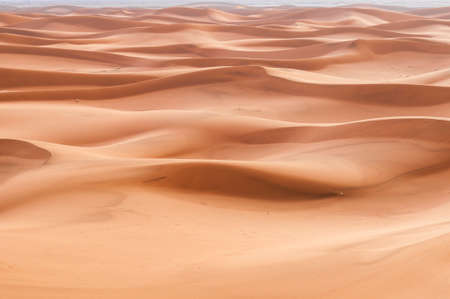 In the Sahara Desert, sand dunes to the horizon, Morocco, Africa.の写真素材