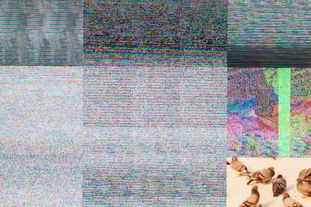 Abstract background of a digital glitch.の写真素材