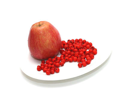 Apple with ashberry on plate white backgroundの写真素材