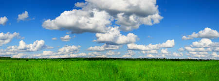 Wide Green Field Panoramaの写真素材