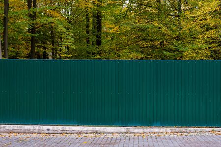 Green metallic corrugated fence against the yellow autumn forest. Texture of profiled metal.の写真素材