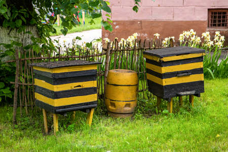 two bee hives between which there is a barrel of honey.の写真素材