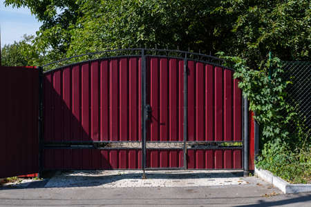 Red metal corrugated fence around the green garden. The texture of the profiled metal.