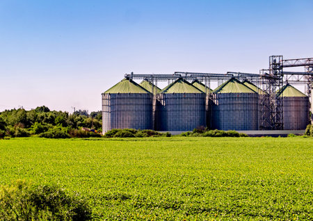 Farm with large amount of grain silos in the foreground and blue sky in the background.
