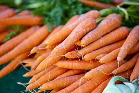 Pile of carrots sitting next to each other on green table.の写真素材