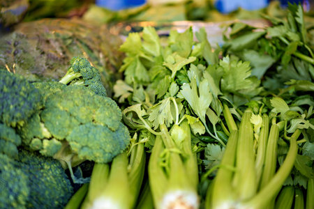 Close up of broccoli, celery, and other vegetables.の写真素材