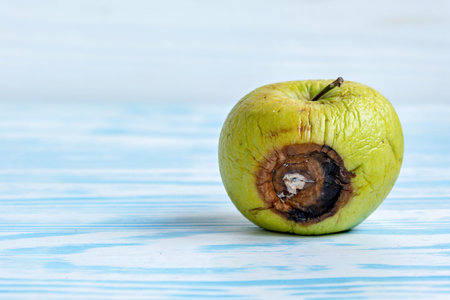This is an image of an apple with a rotten coreの写真素材