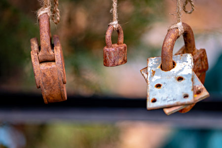 This image shows a collection of old rusted padlocks hanging from what appears to be a rope or chain
