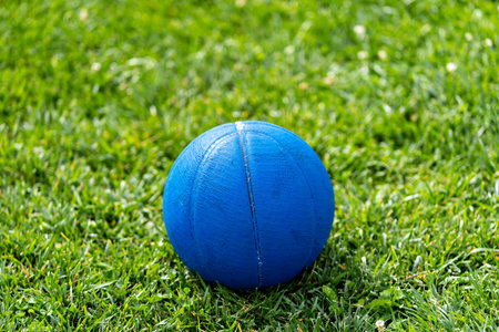 A blue ball on a green grass fieldの写真素材