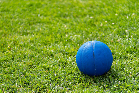 A blue ball on a green grass fieldの写真素材