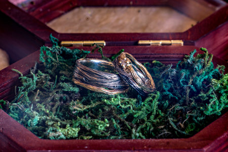Two rings with intricate designs are placed on a bed of greeneryの写真素材