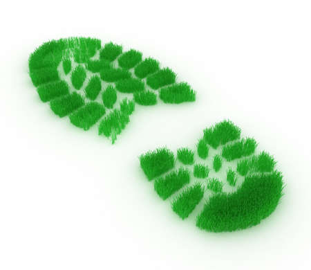 Print of footwear in the form of a grass on a white backgroundの写真素材
