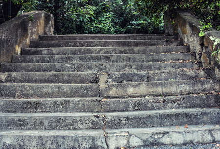 Photo of an old ladder rising upwards
