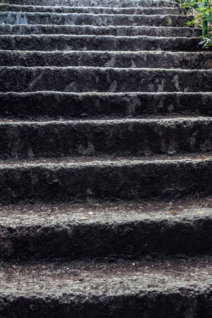 Photo of an old ladder rising upwards