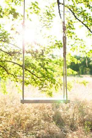 Swing on ropes under the big treeの写真素材