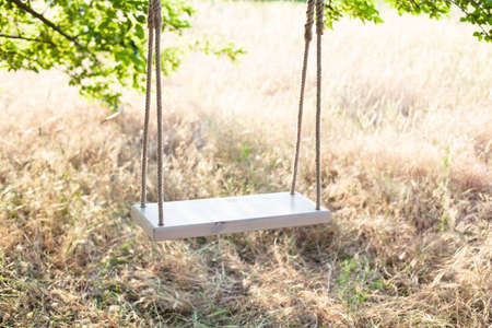 Swing on ropes under the big treeの写真素材