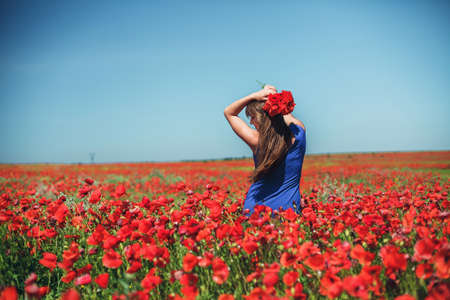The beautiful girl on a red field with poppiesの写真素材