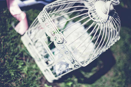 Beautiful scenery for wedding ceremony on the natureの写真素材