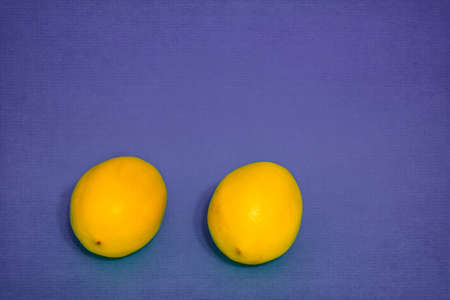 Two delicious aromatic lemons on a purple background.