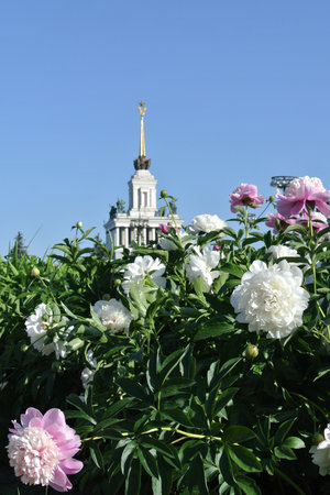 All-Russian Exhibition Center in Moscowのeditorial素材