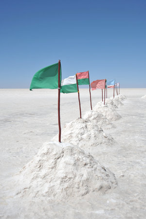 The Uyuni salt flatsのeditorial素材