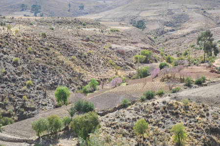 altiplanoの写真素材