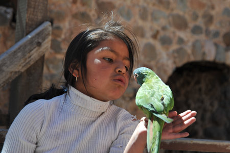 The unknown girl with the parrot on the streets of Potosi.のeditorial素材