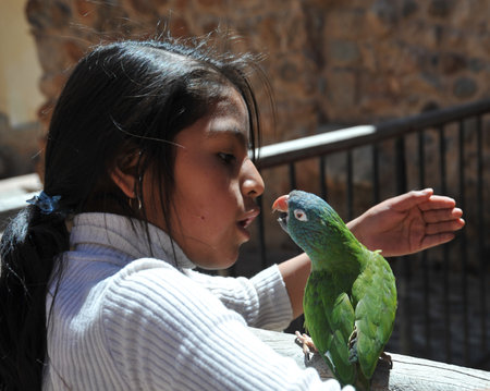 The unknown girl with the parrot on the streets of Potosi.のeditorial素材