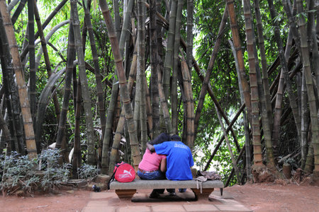 Unique Royal Botanical gardens in Peradeniya is considered as one of the best in Asia. Tourists on vacation in the Parkのeditorial素材