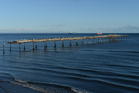 The Strait of Magellan at Punta arenas.のeditorial素材